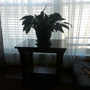 Meet your Posher, Wanda